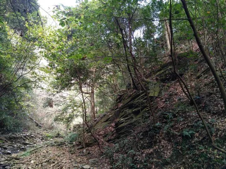 组装机械恐龙3