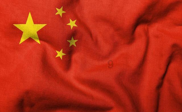 拯救机灵鸟