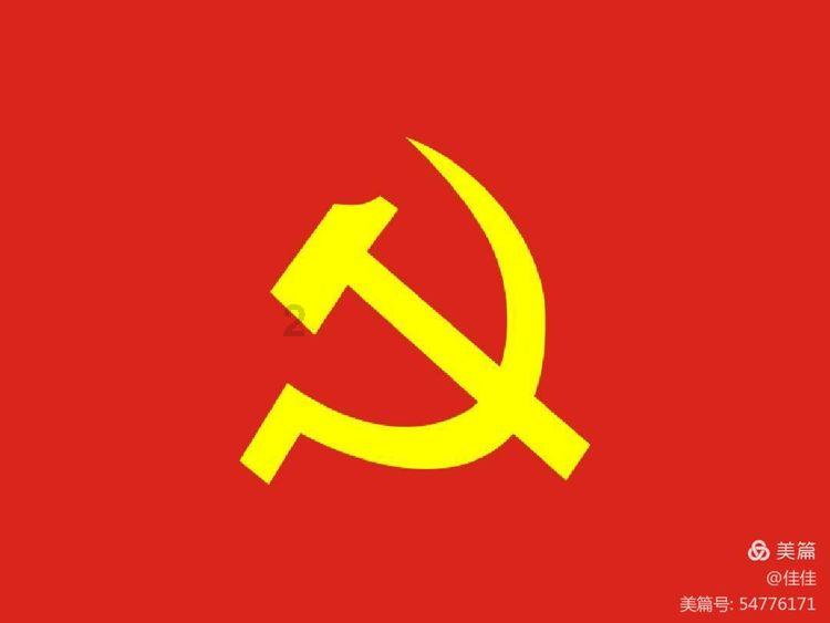 萌犬记忆卡