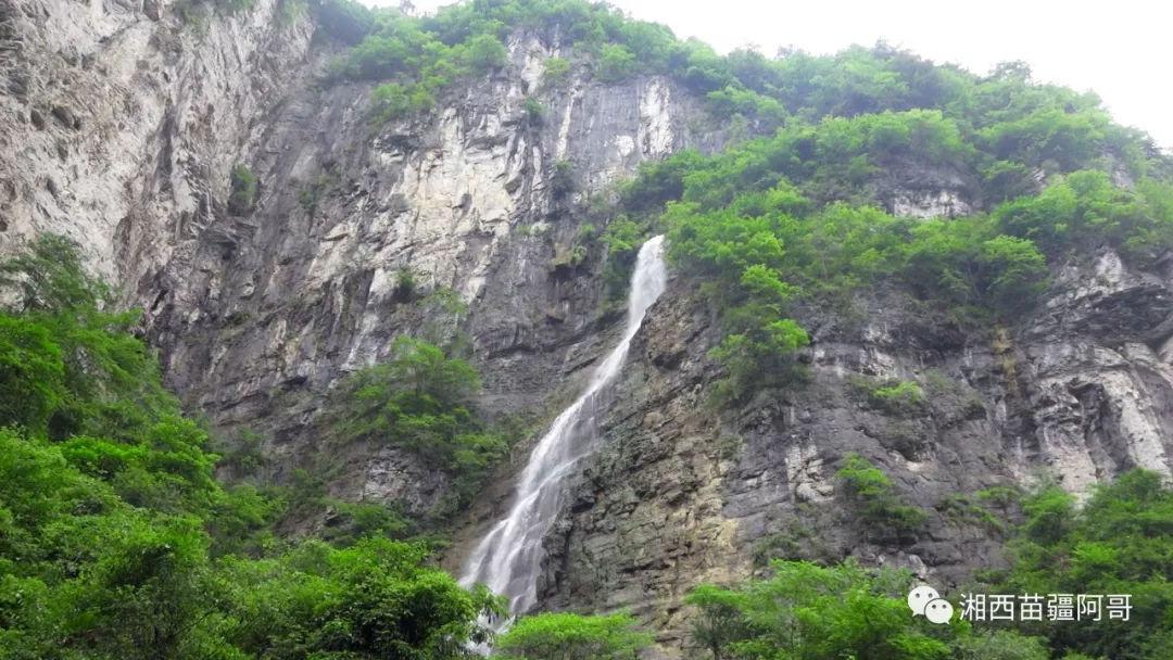 格斗巅峰大作战