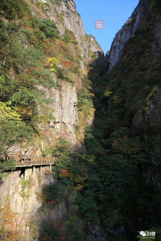 全新国产大众帕萨特将在第三季度正式上市,采用全新的设计