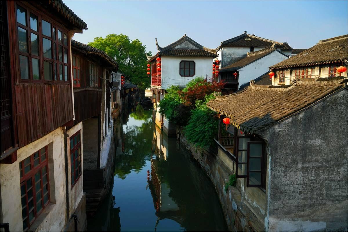 “种草”海南，米卡来了～